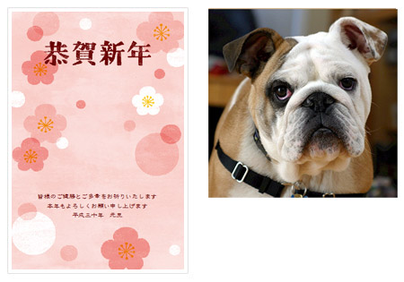 年賀状を作成手順説明1