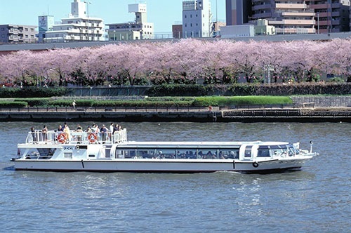 隅田川公園桜まつり 水上バス