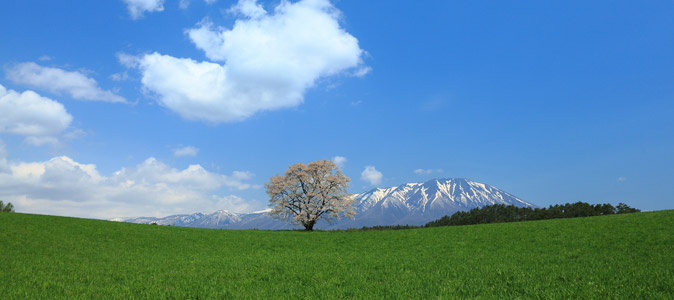 五月晴れの意味