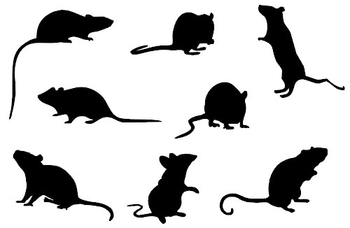 すべての動物の画像 最高のネズミ イラスト シルエット